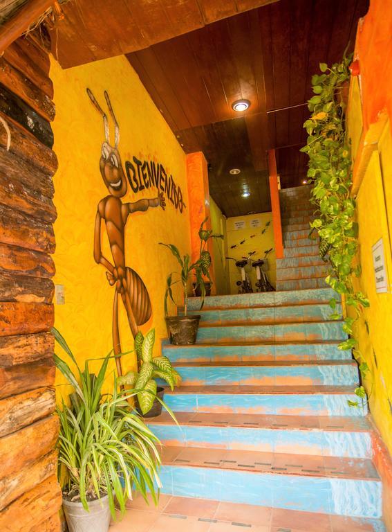 Hotel El Hormiguero Playa del Carmen Exteriér fotografie